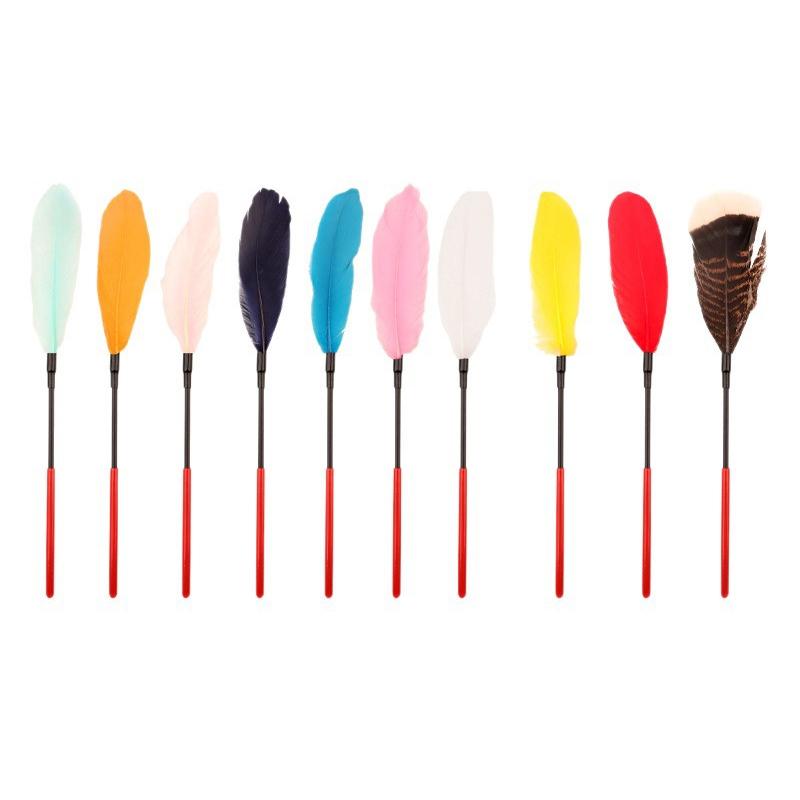 Frusta Erotica con Piume, Flog - Party Games Young Adults recensione e prezzo