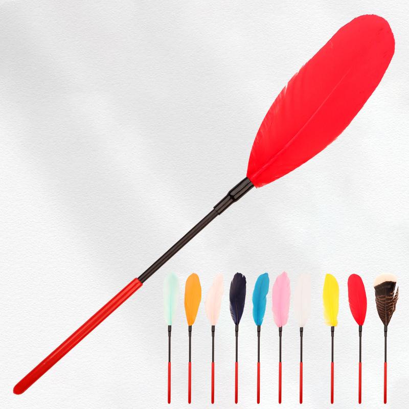 Frusta Erotica con Piume, Flog - Party Games Young Adults recensione e prezzo